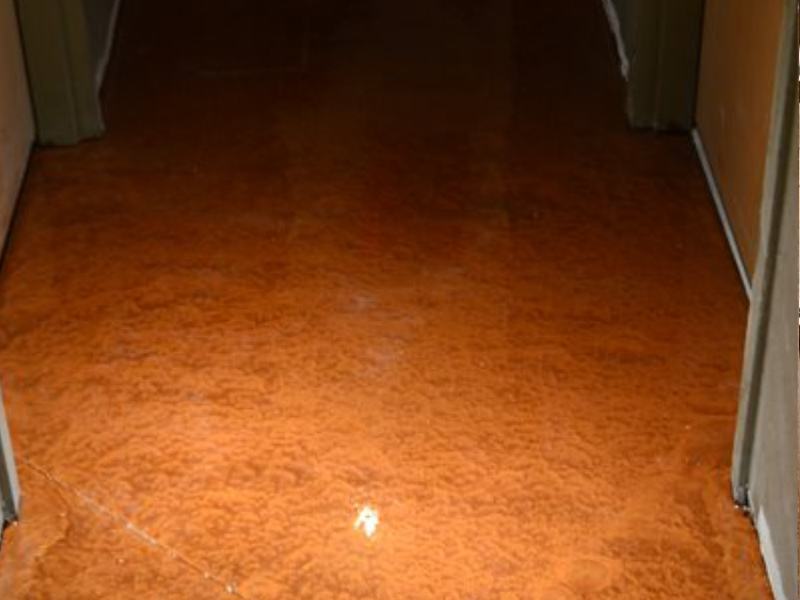 Epoxy Floors

